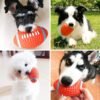 Durable Latex Squeaky Dog Ball Toys - Interactive Chew Toy for All Dog Sizes