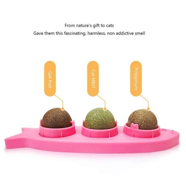 3-in-1 Rotating Catnip Ball Teeth-Cleaning & Wall-Mounted Cat Toy