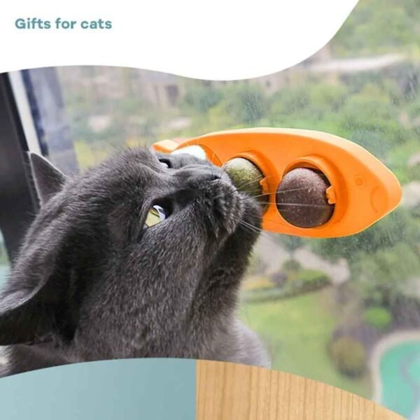 3-in-1 Rotating Catnip Ball Teeth-Cleaning & Wall-Mounted Cat Toy