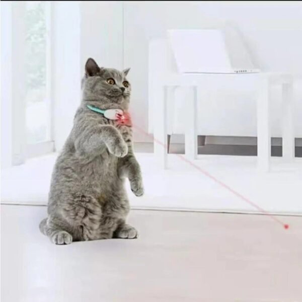 Adjustable Automatic Laser Cat Teaser Collar with USB Charging