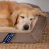 Luxurious Large Orthopedic Gel Memory Foam Dog Couch Bed