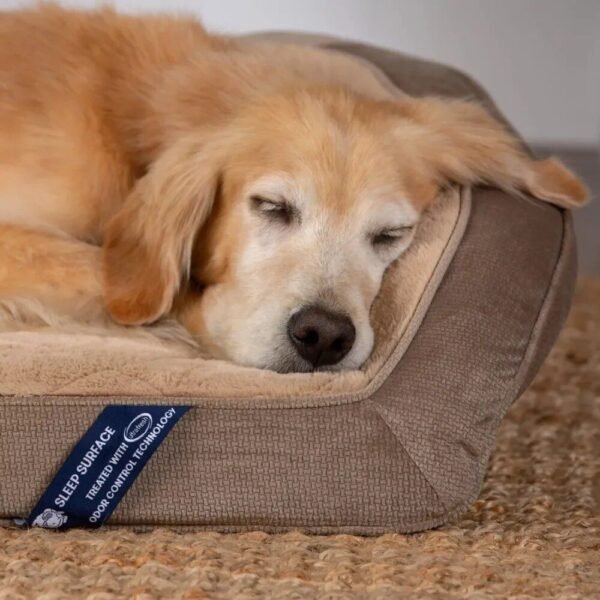 Luxurious Large Orthopedic Gel Memory Foam Dog Couch Bed